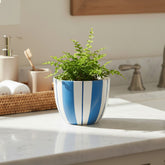 Blue & White Striped U-Shape Ceramic Flower Pot 4.5x5 Inches