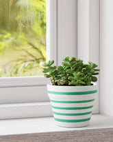 Ceramic Planter Green Stripes - 4x5 - Eyaas