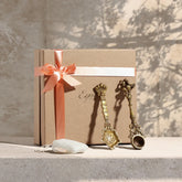 Gift set containing two handcrafted brass hawan spoons and natural Kapoor packed in a decorative gift box for puja and festive gifting