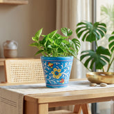Light blue and yellow conical Blue Pottery planter for balcony plants