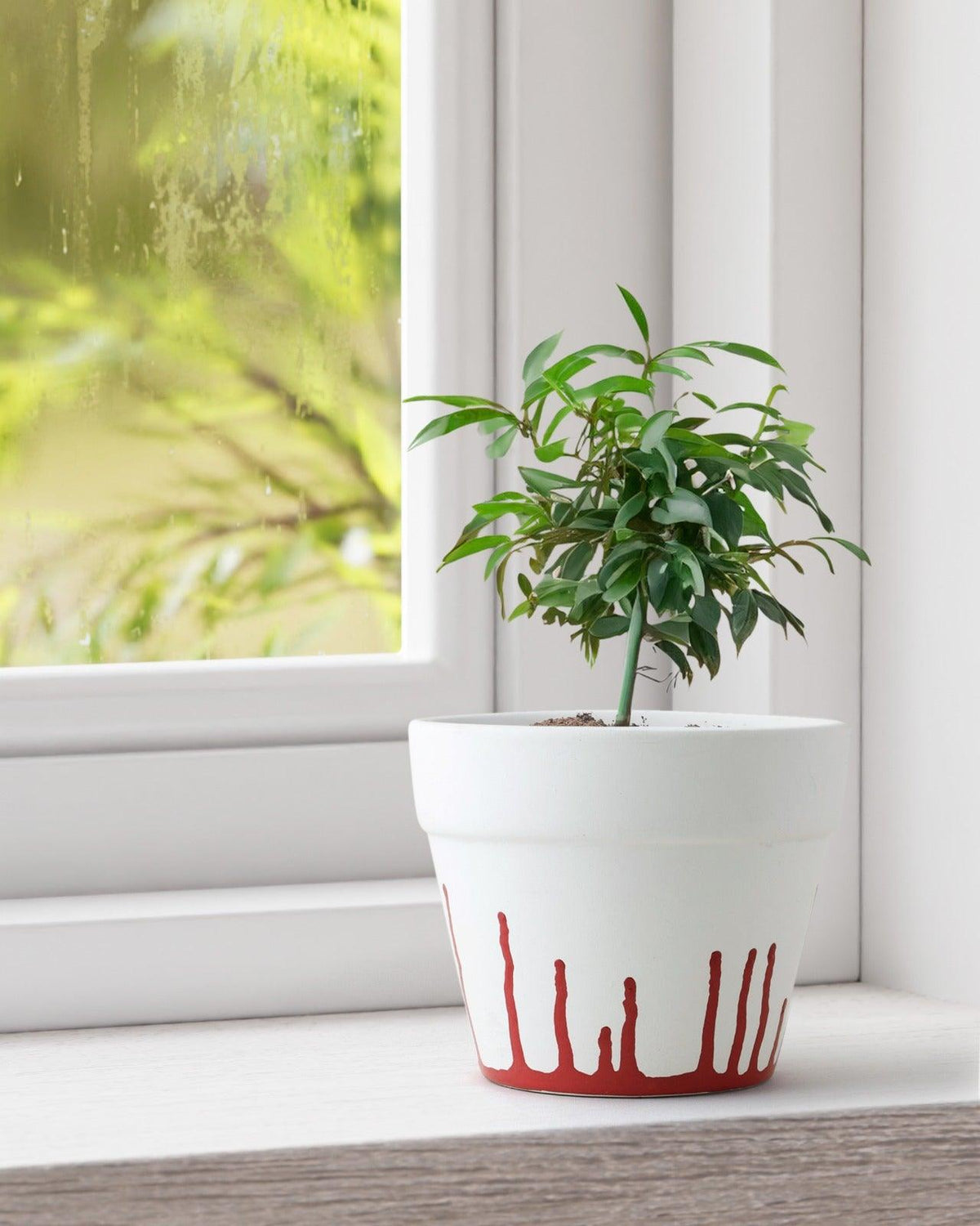 Paint Drip Ceramic Planter Red & White - 4x5 - Eyaas
