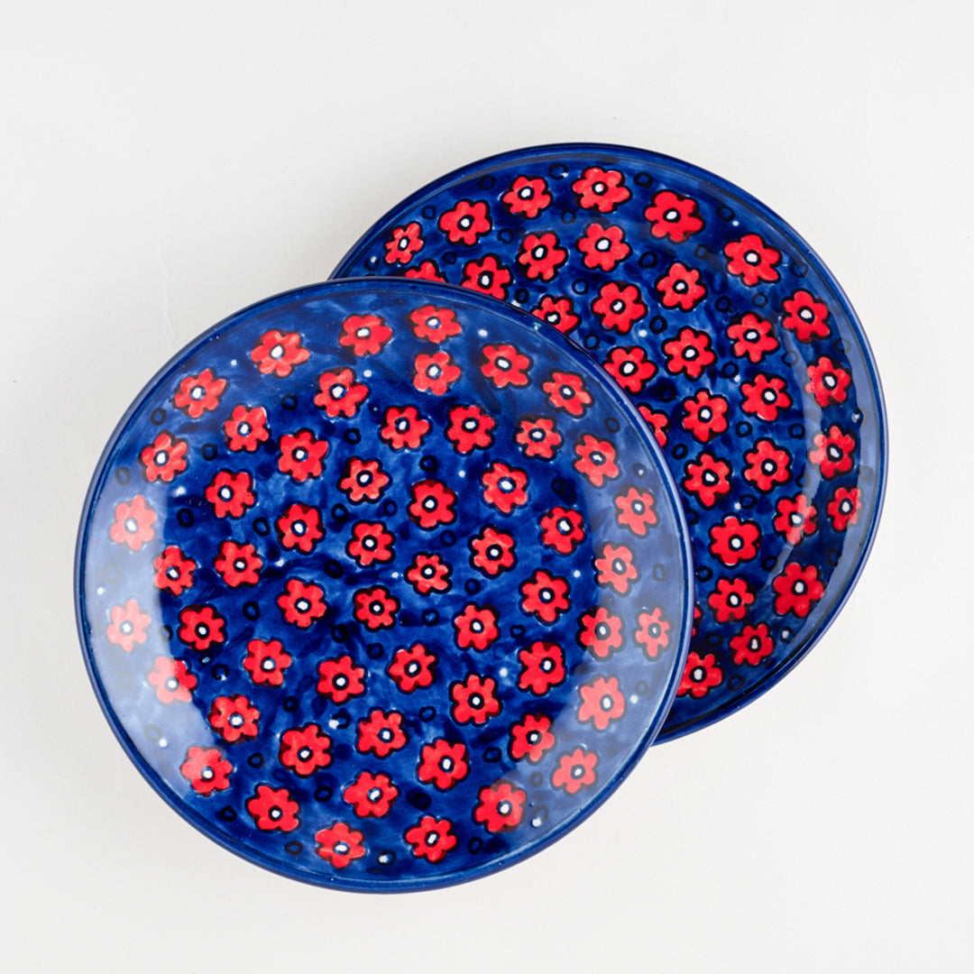 Red and Blue Floral Hand Painted Ceramic Breakfast Plates 8 Inch Set of 2