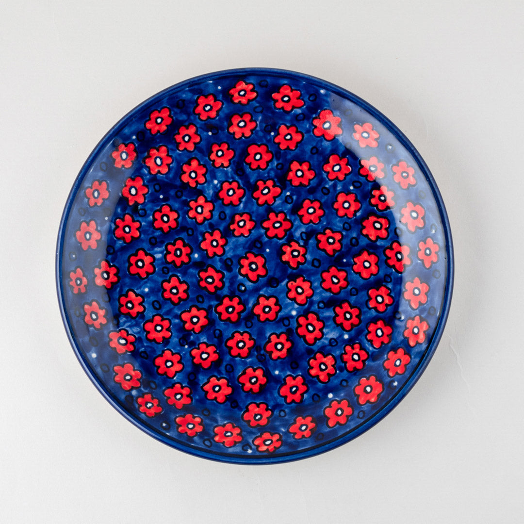 Floral Red and Blue Hand-Painted 6-Piece Ceramic Dinner Set