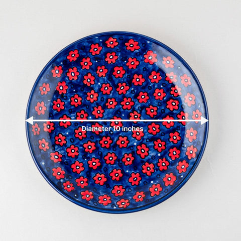 Red Floral 6-Piece Ceramic Dinner Set, Blue - Eyaas