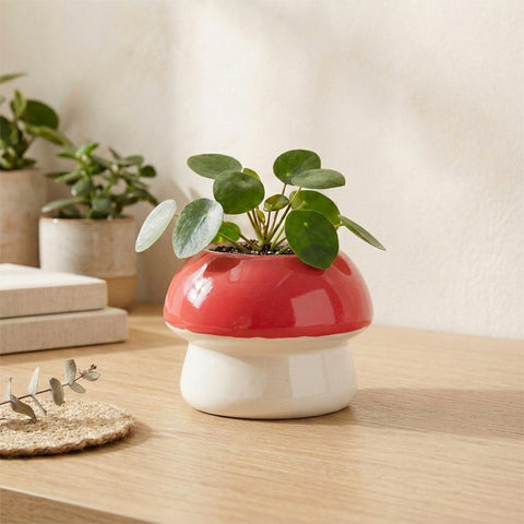Fairy Ceramic Mushroom Flower Pot 5x5.5 Inches