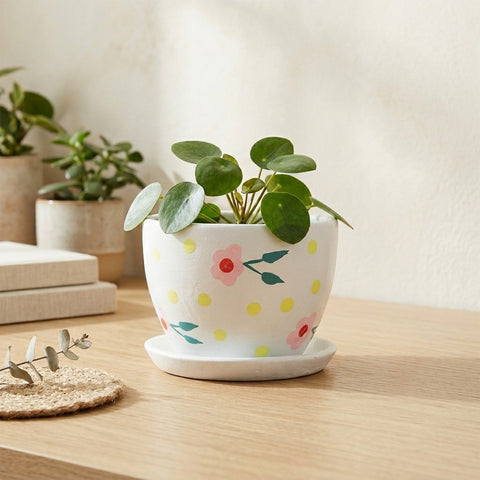 Pink Blossom White Ceramic Flower Pot with Tray 3x3.5 Inches