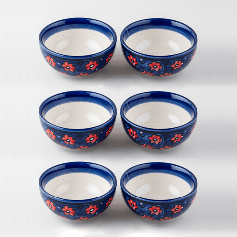 Red & Blue Floral Ceramic Portion Bowls Set of 6 - Eyaas
