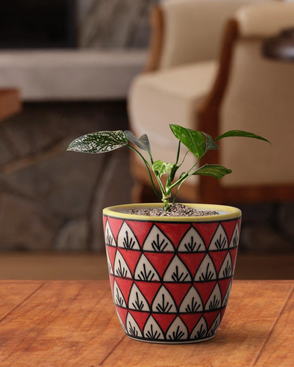Ceramic Planter, Leaf Patter, Red, 3.5x4 - Eyaas
