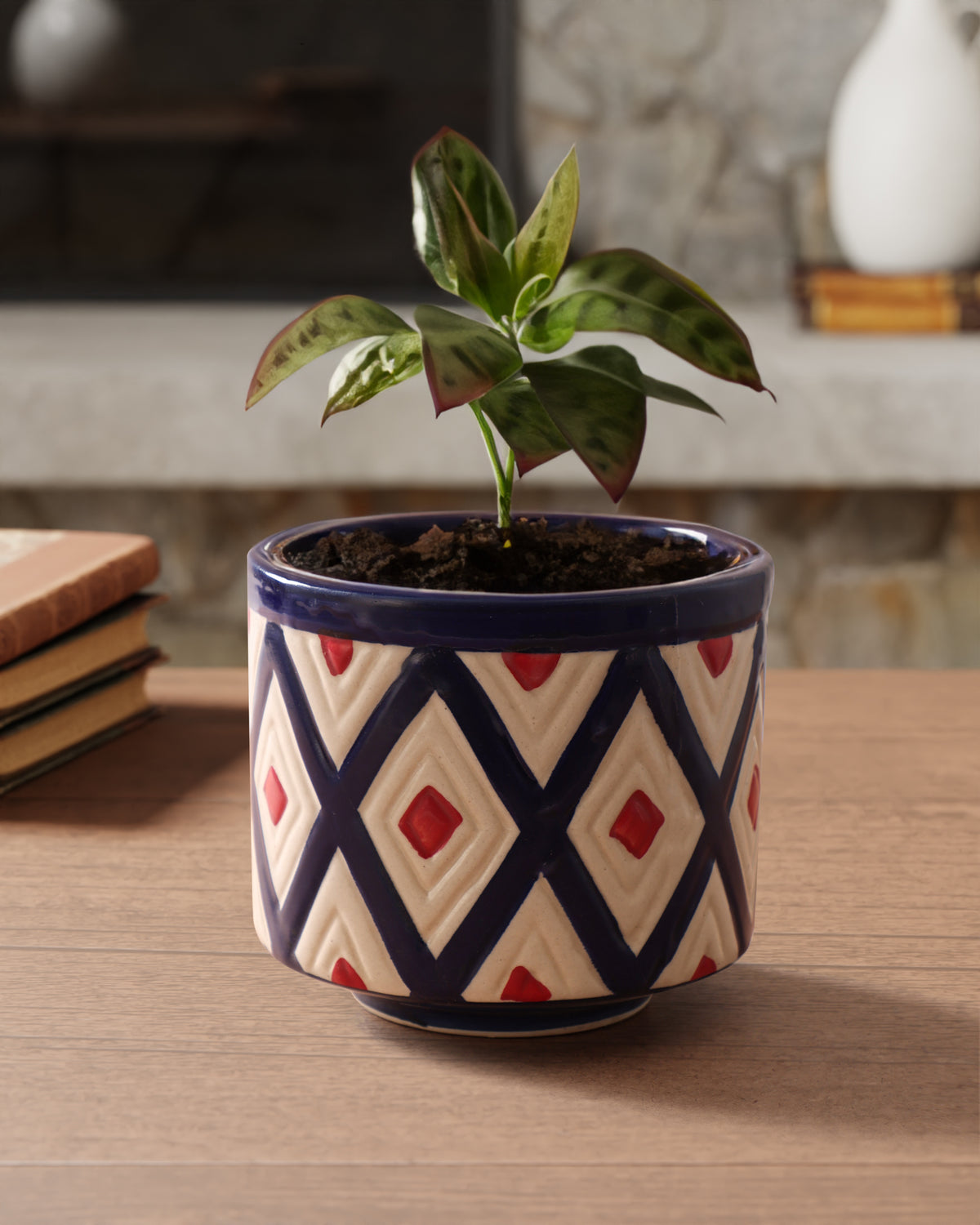 Ceramic Flower Pot - 5 x 6