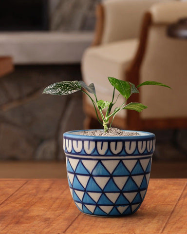 Ceramic Planter, Leaf Pattern, Sky Blue, 3.5x4 - Eyaas