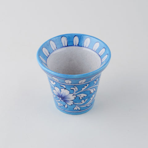 Light blue and white small planter indoor plants