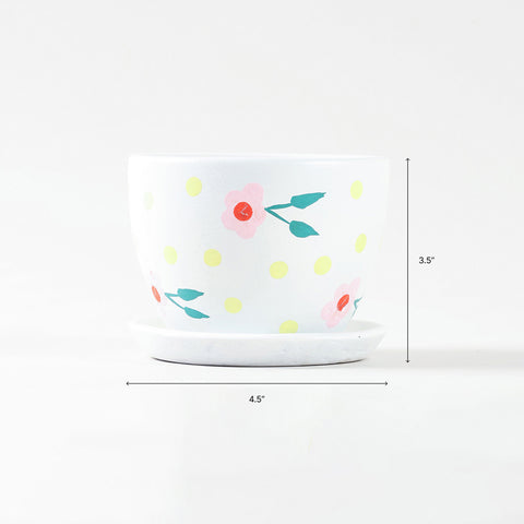 Pink blossom ceramic flower pot showing a size of 4.5 inches in diameter and 3.5 inches in height.
