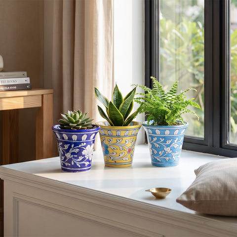 Set of 3 Blue Pottery planters styled with plants for a colourful home garden