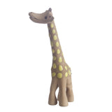 Giraffe - Eyaas
